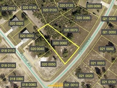 Property Photo:  317 Pearson Street  FL 33974