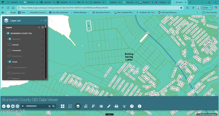 Property Photo:  10 Acres  NC 28461 