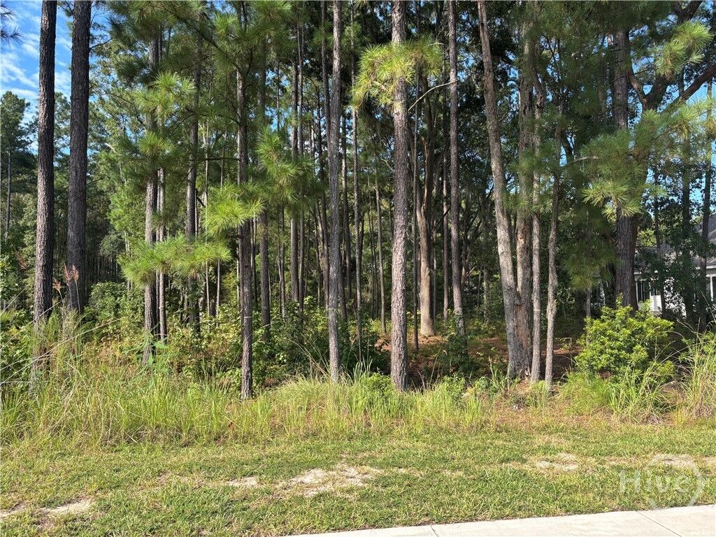 Property Photo:  183 Wood Haven Lane  GA 31322 