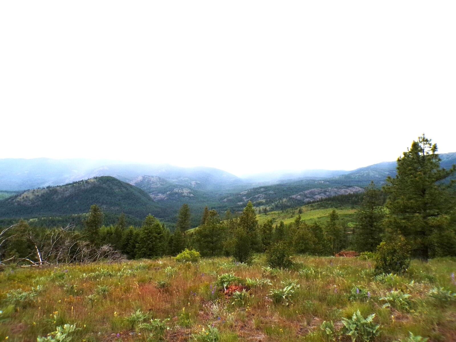 Property Photo: #B Vista View Ln WA 99138