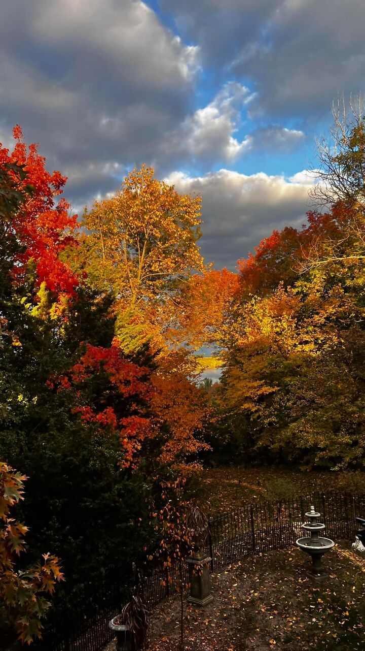 Property Photo:  9942 Kahler Avenue NE  MN 55362