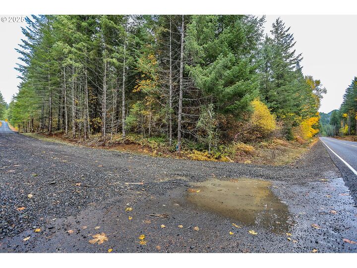 42 Hawk Meadows Rd  Carson WA 98610 photo