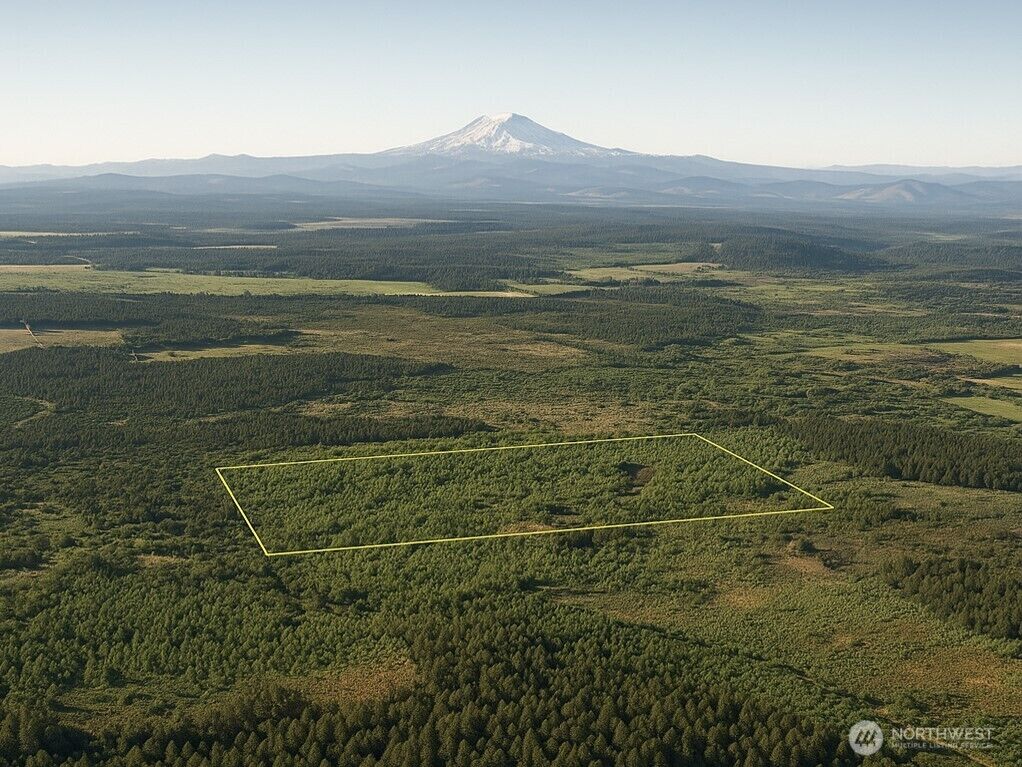 Property Photo:  981 W Homer Adams Road  WA 98541