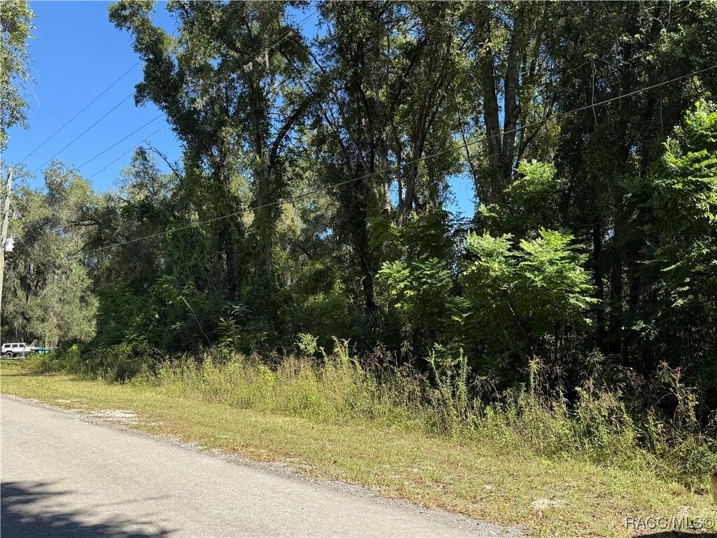 Property Photo:  759 N Corbin Avenue  FL 34453 