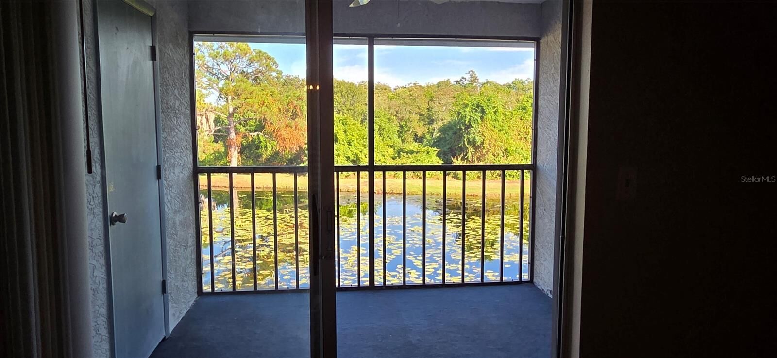 Property Photo: 11201 122nd Avenue L-232 FL 33778