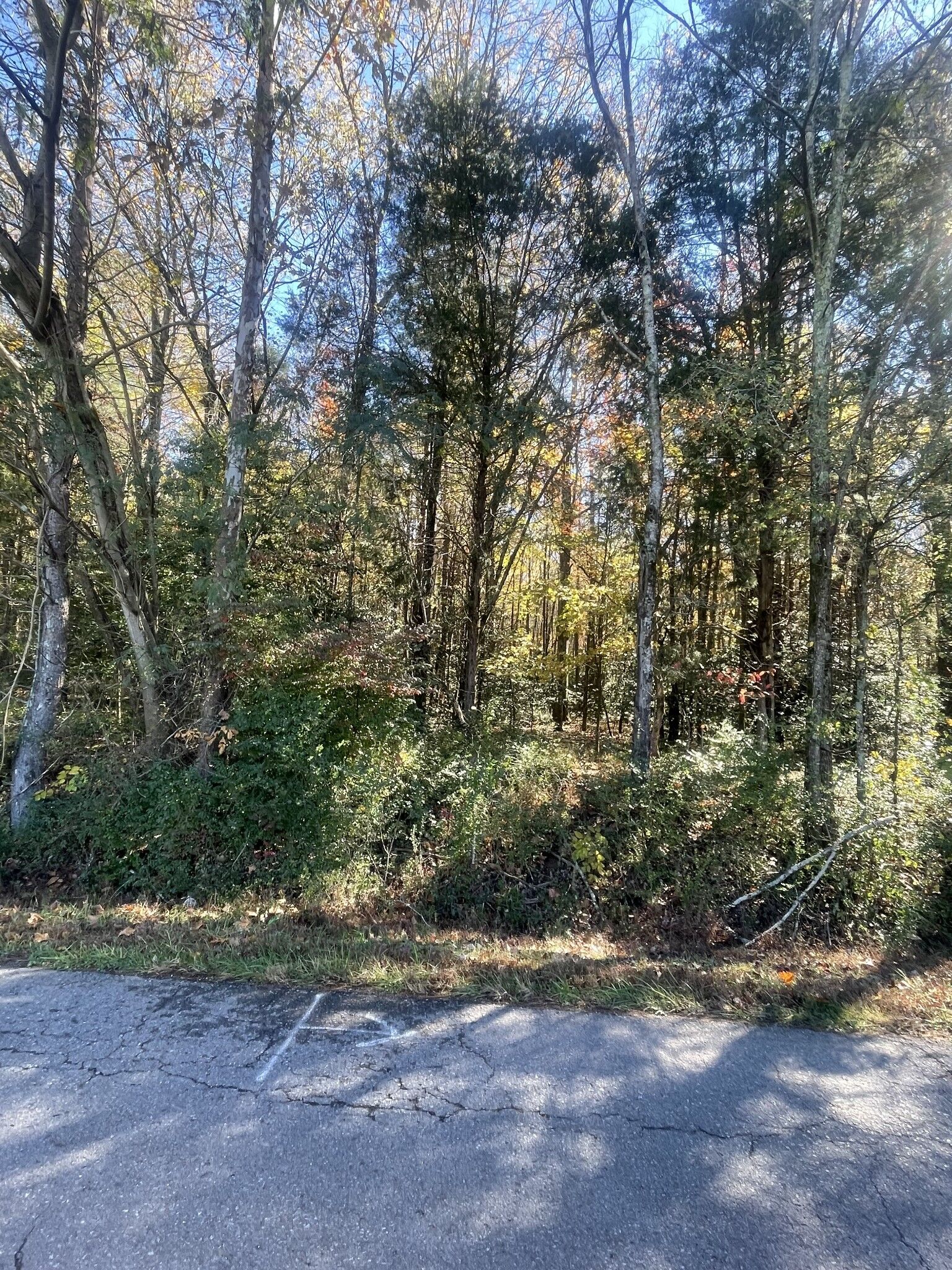 Property Photo: 0 Hayes Rd S TN 38464