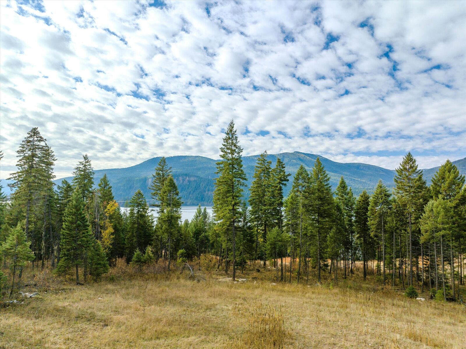 Property Photo:  Lot 1 McKay Minor Road  MT 59853 