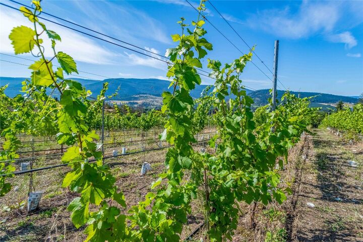 Property Photo:  9269 Highway 6  BC V1B 3B5 