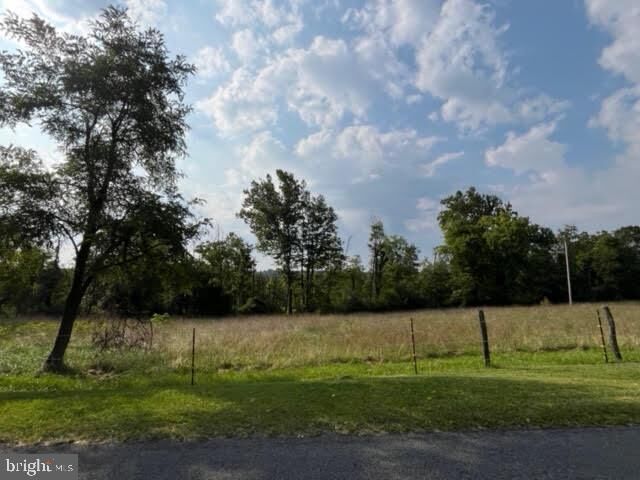 Property Photo: 0 Frog Hollow VA 22603