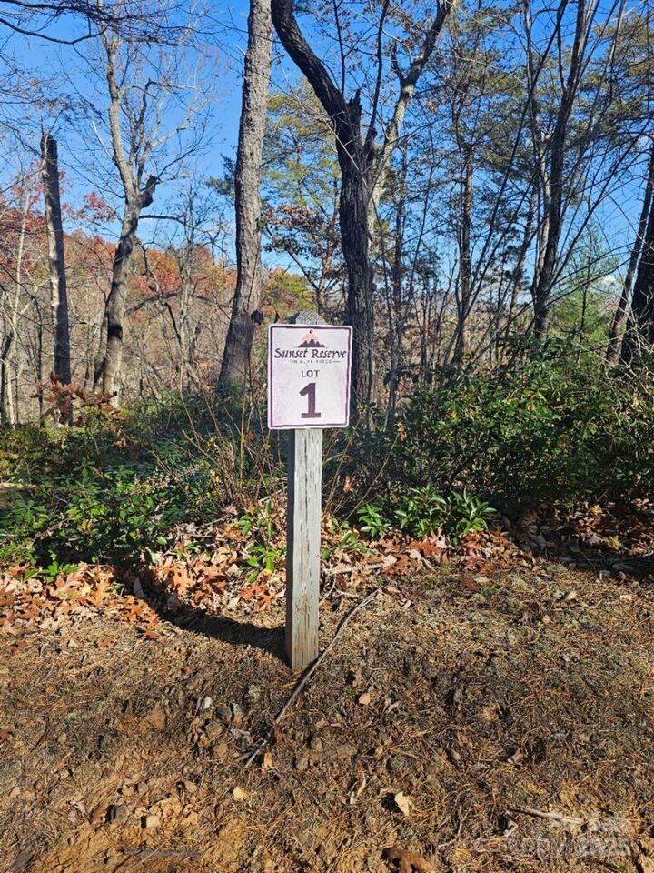 Property Photo:  0 Lure Ridge Drive 1  NC 28746 