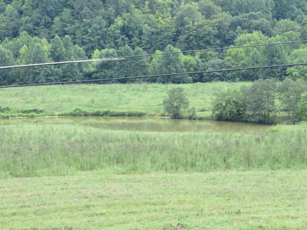 Property Photo:  3534 McClure Branch  KY 41230 