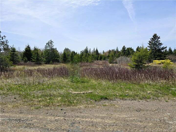 Property Photo:  1.3 Acres Route 113  NB E8T 1C7 