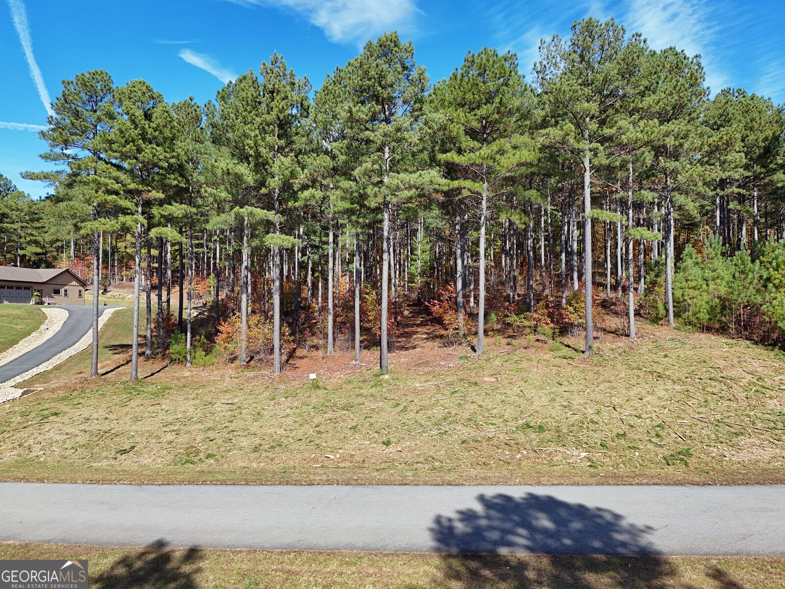 Property Photo:  Lot168 Stables Loop  GA 30512 
