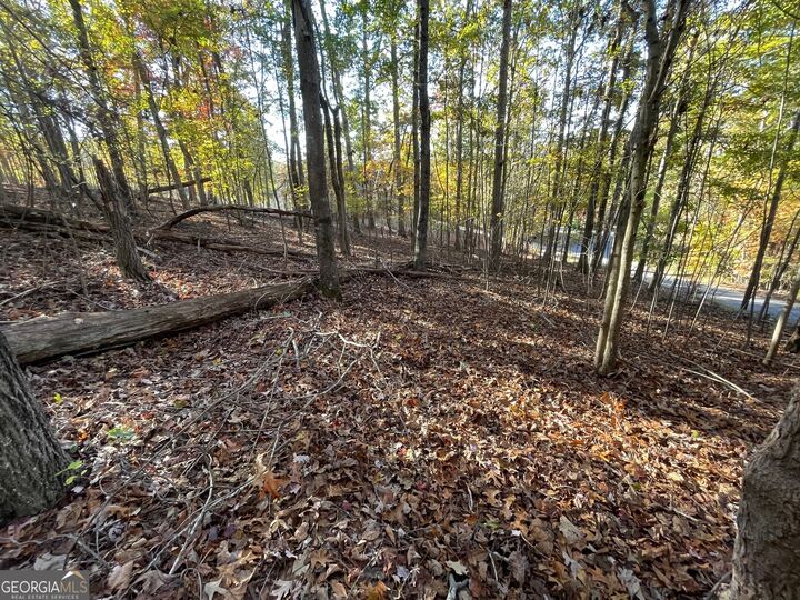 Property Photo: Lot 87 N Foxglove Road SC 29693