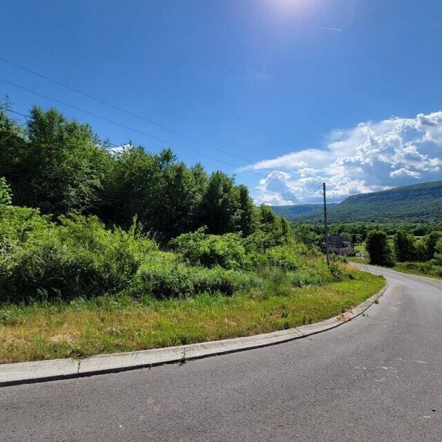 Property Photo: 0 Hardin Road TN 37327