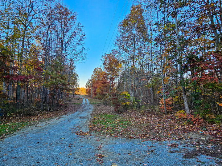 Property Photo:  4494 Pine Grove Road  KY 40419 