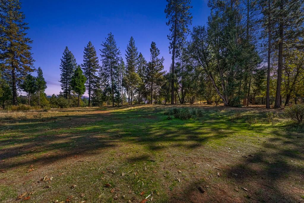 Property Photo:  19292 Shawnee Trail  CA 95245 