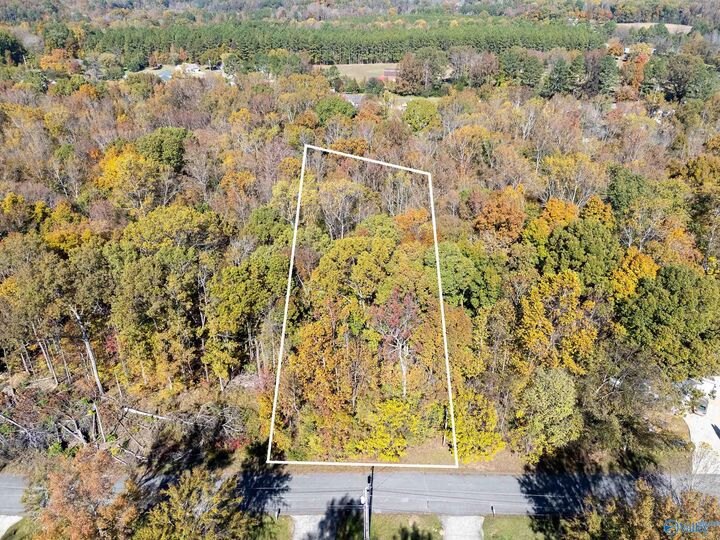 355 Buffalo Creek Drive  Toney AL 35773 photo