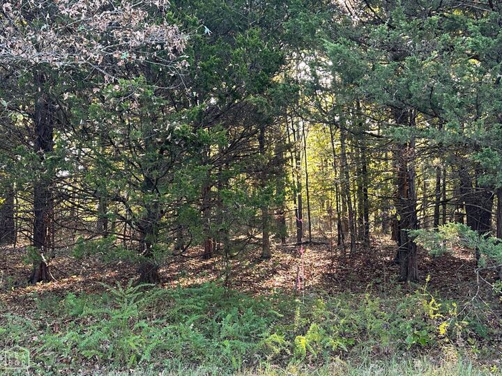 Property Photo: 1 Hand Cove Road AR 72531