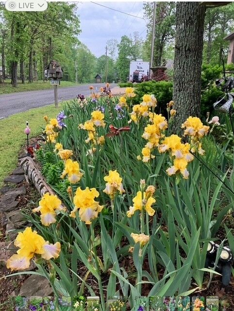 Property Photo: 2 Jura Circle AR 72715