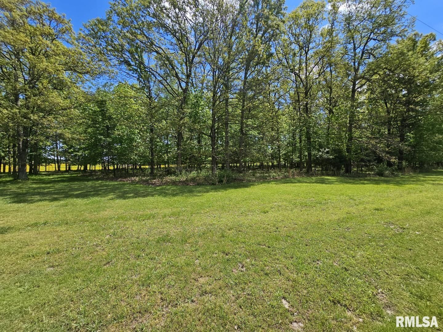 Property Photo:  Lot 2 N Wildwood Place  IL 62830 
