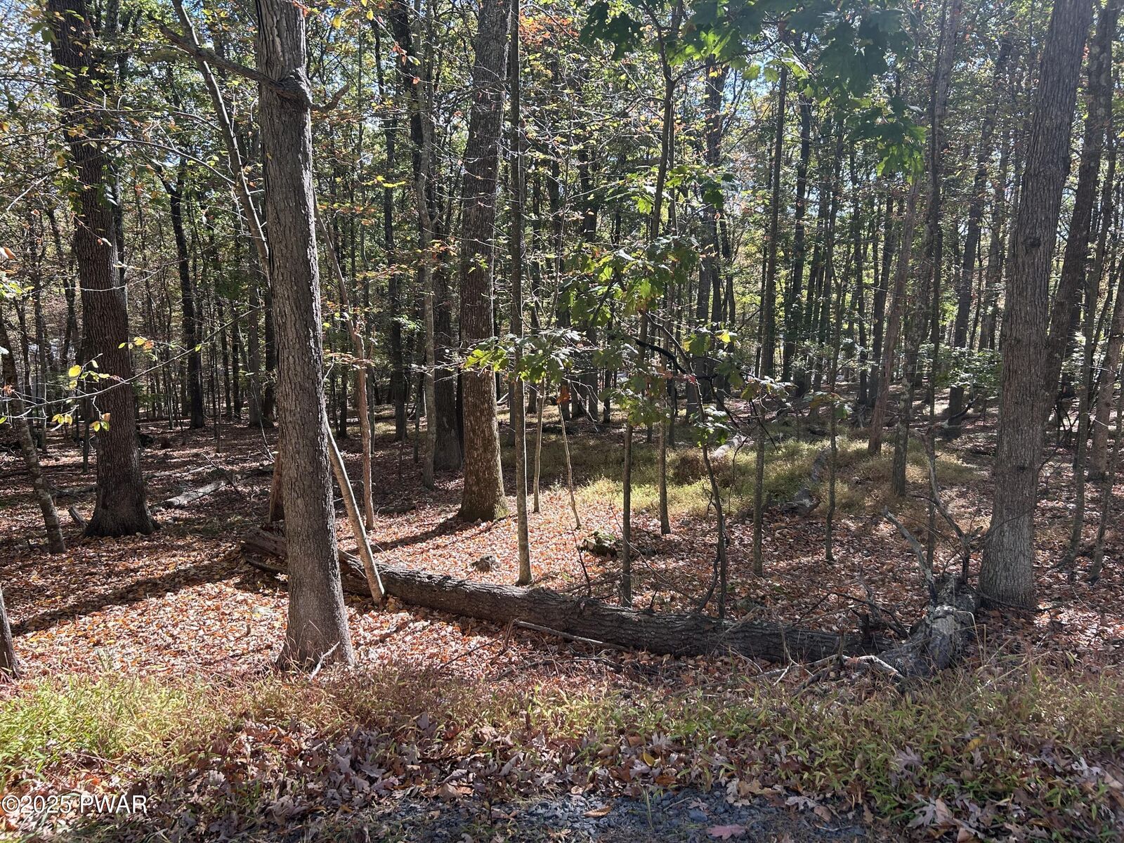 Property Photo: Lot 35 Westcolang Road PA 18428