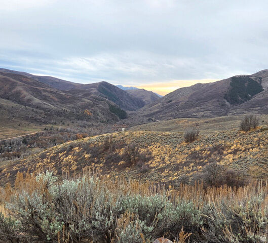 Property Photo:  12898 E High Pine Cir 176  UT 84317 