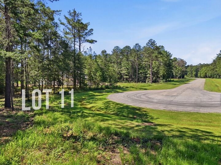 Property Photo:  Lot 11 Hidden Lakes Drive  GA 31721 