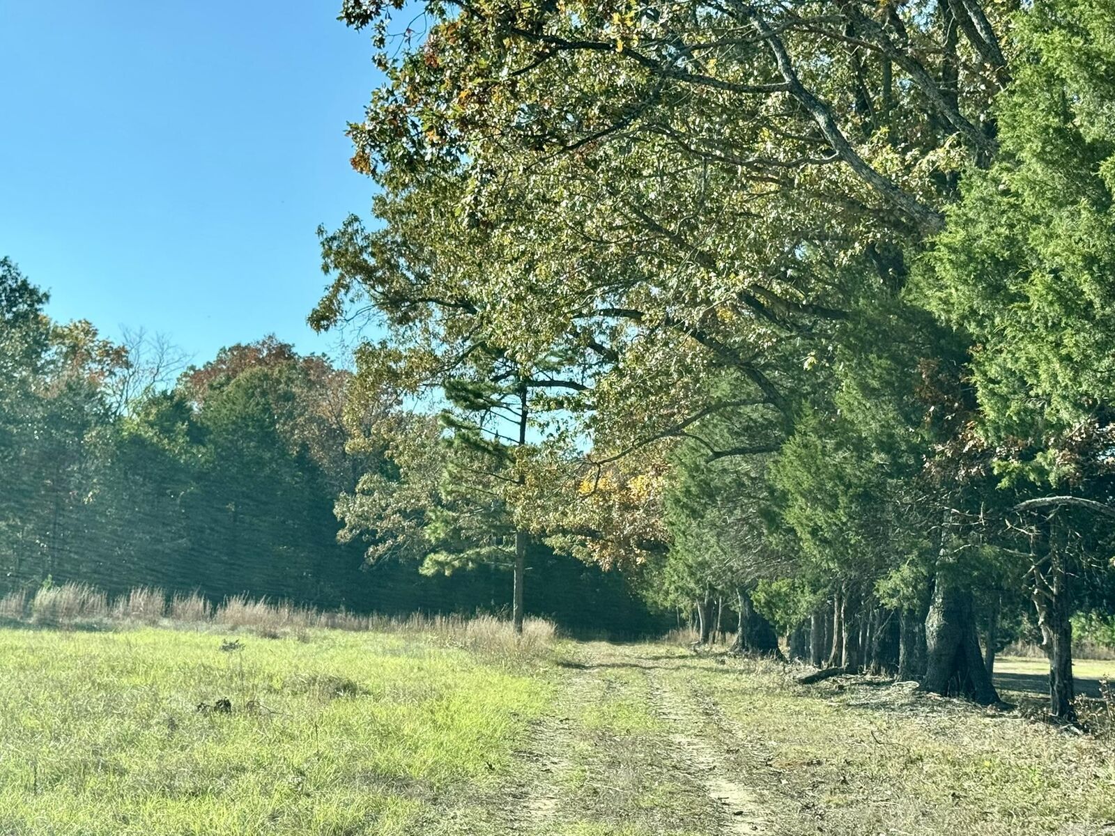 Property Photo:  150 Holloway Lane  AR 72058 
