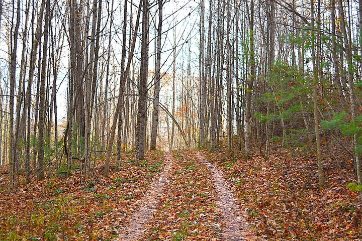 Property Photo:  390 Joyful Way  WV 25969 