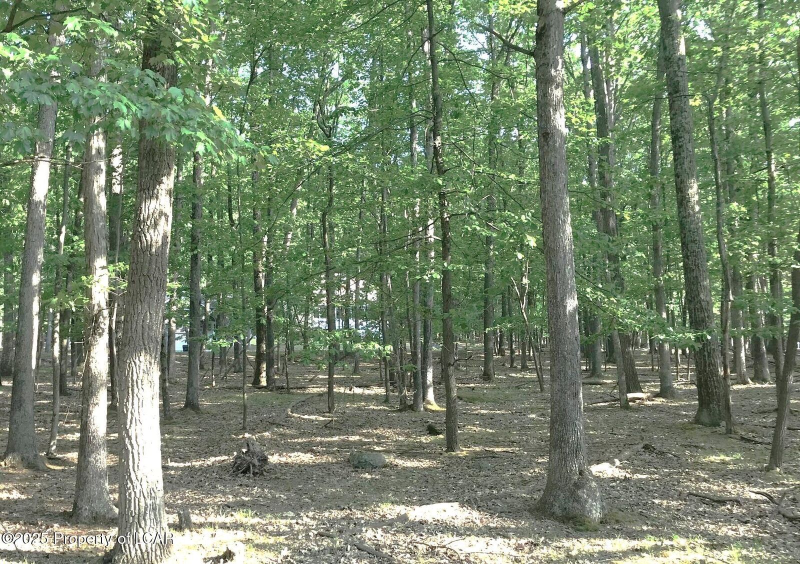 Property Photo: Ja Lot 192 Muskegon Circle PA 18202