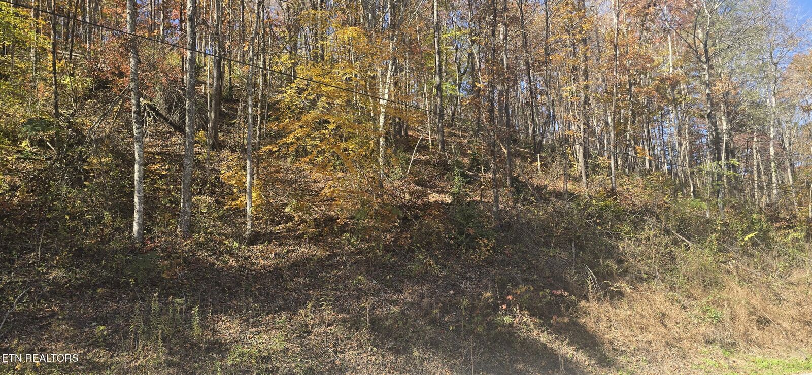 Property Photo:  Emerald Springs Loop  TN 37862 