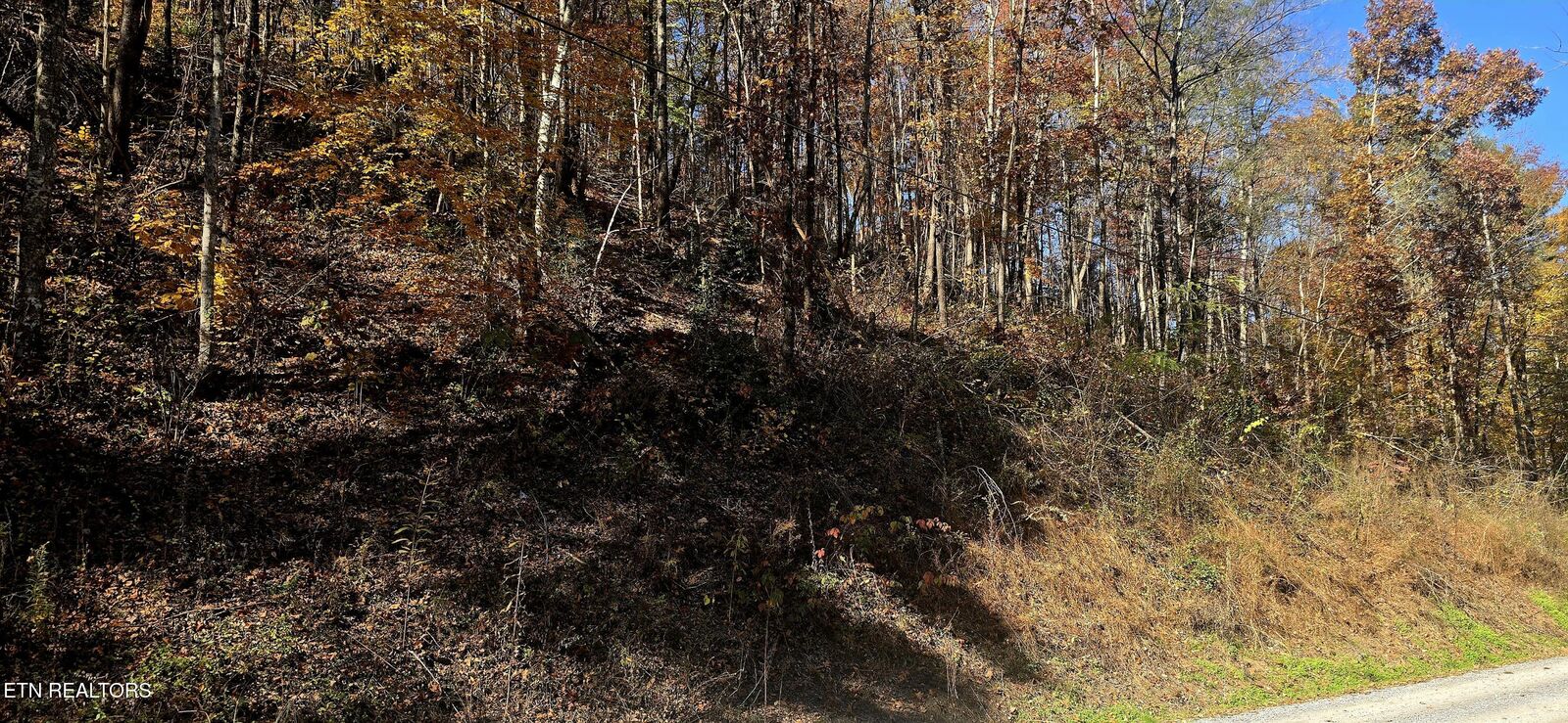Property Photo:  Emerald Springs Loop  TN 37862 