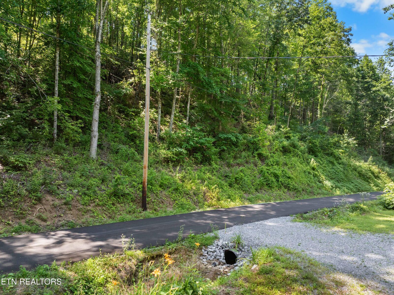 Property Photo:  Emerald Springs Loop  TN 37862 