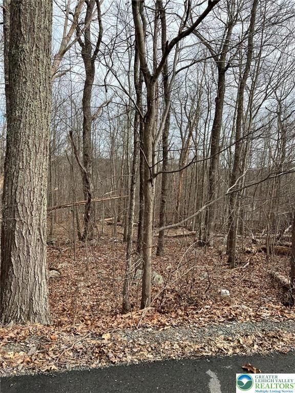 Property Photo: 190 Williams Lane PA 18355