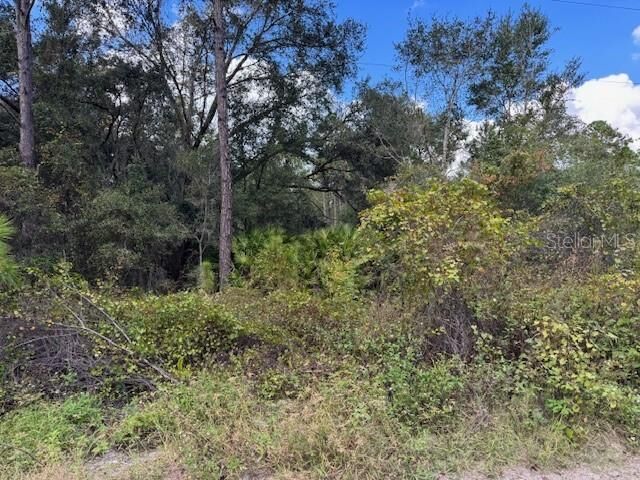 Property Photo: 12th Avenue FL 32724