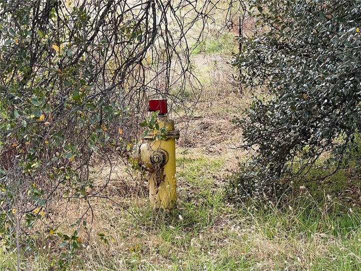 Property Photo:  0 Hangtree Court  CA 93644 