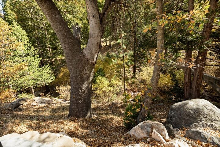 Property Photo: 1285 N State Highway 173 CA 92352