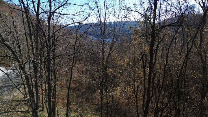 Property Photo:  85 Blackberry Ridge Way  TN 37166 