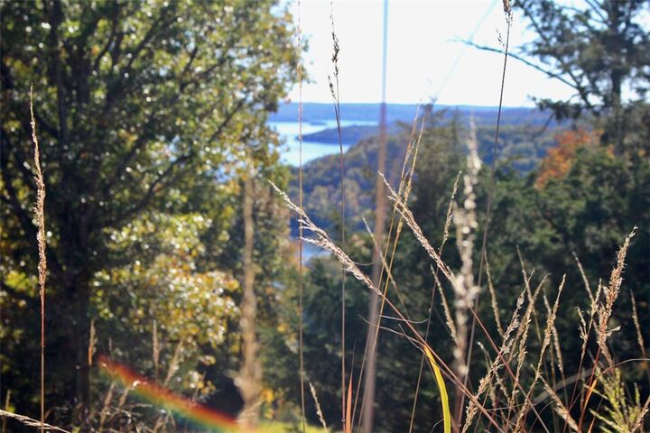 Property Photo: 002 Tbd Mundell Road AR 72631