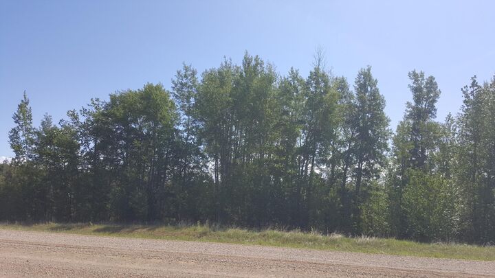 Property Photo:  Weberville Road  AB T0H 1R7 