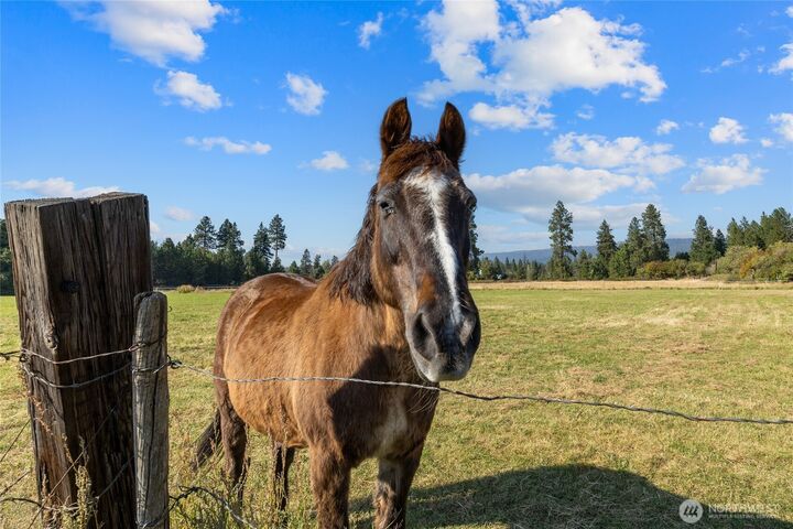 Property Photo: 0 Xxx Westside Road WA 98922