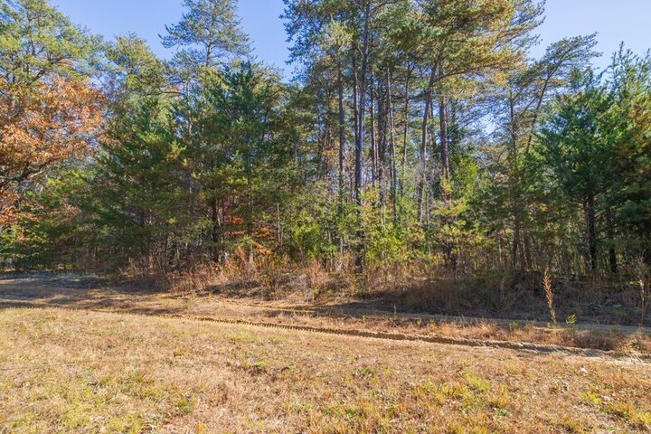 Property Photo:  Allen Drive  VA 23901 