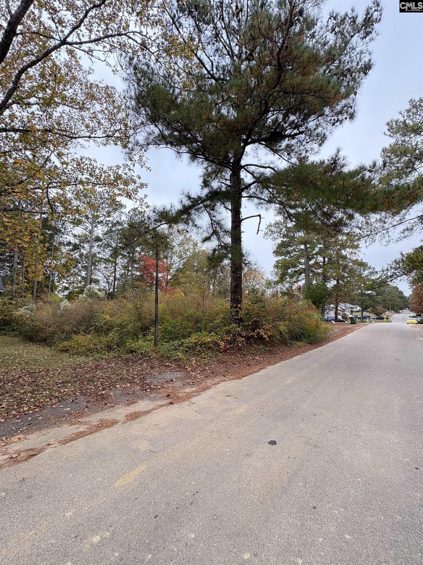 Property Photo:  1021 Rockymount  SC 29203 