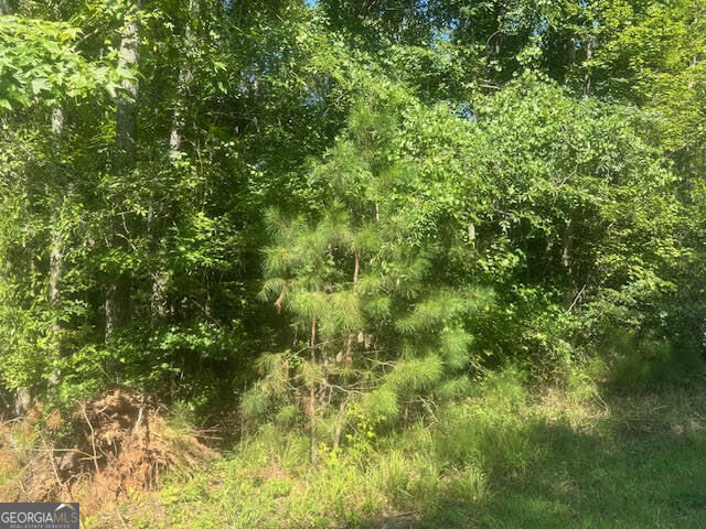 Property Photo:  0 Twin Bridges Road  GA 31024 