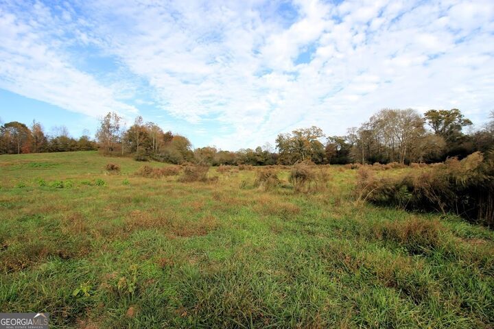 Property Photo:  1254 Ayers Road  GA 30108 