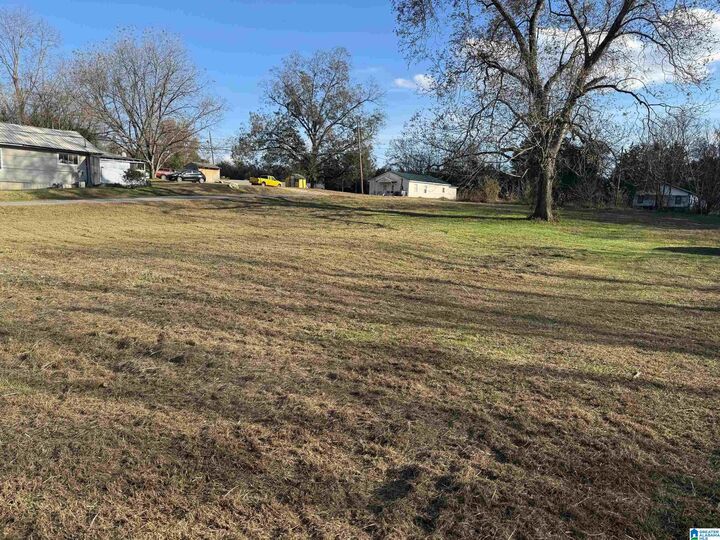 Property Photo: 7413 Grace Avenue 1 AL 35094