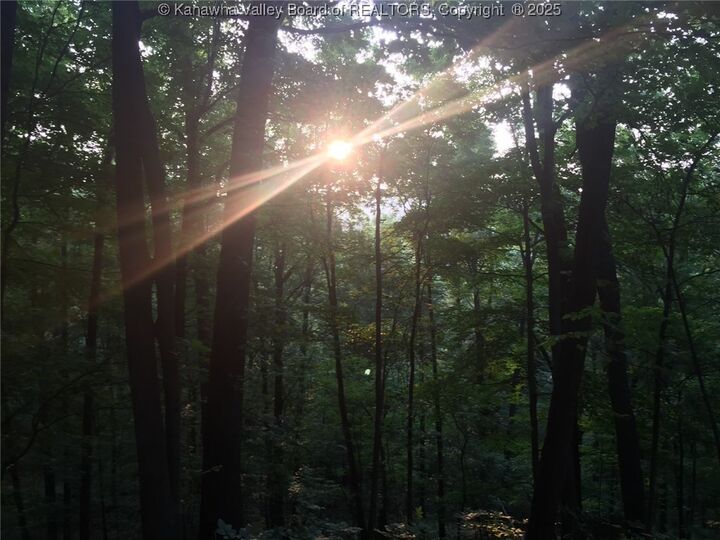 0 Fleshers Run Road  Ravenswood WV 26164 photo