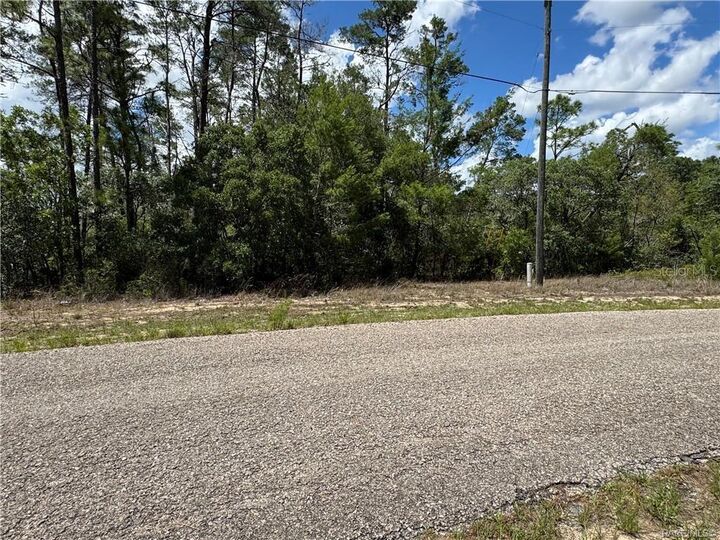 Property Photo:  8959 N Farrington Drive  FL 34433 