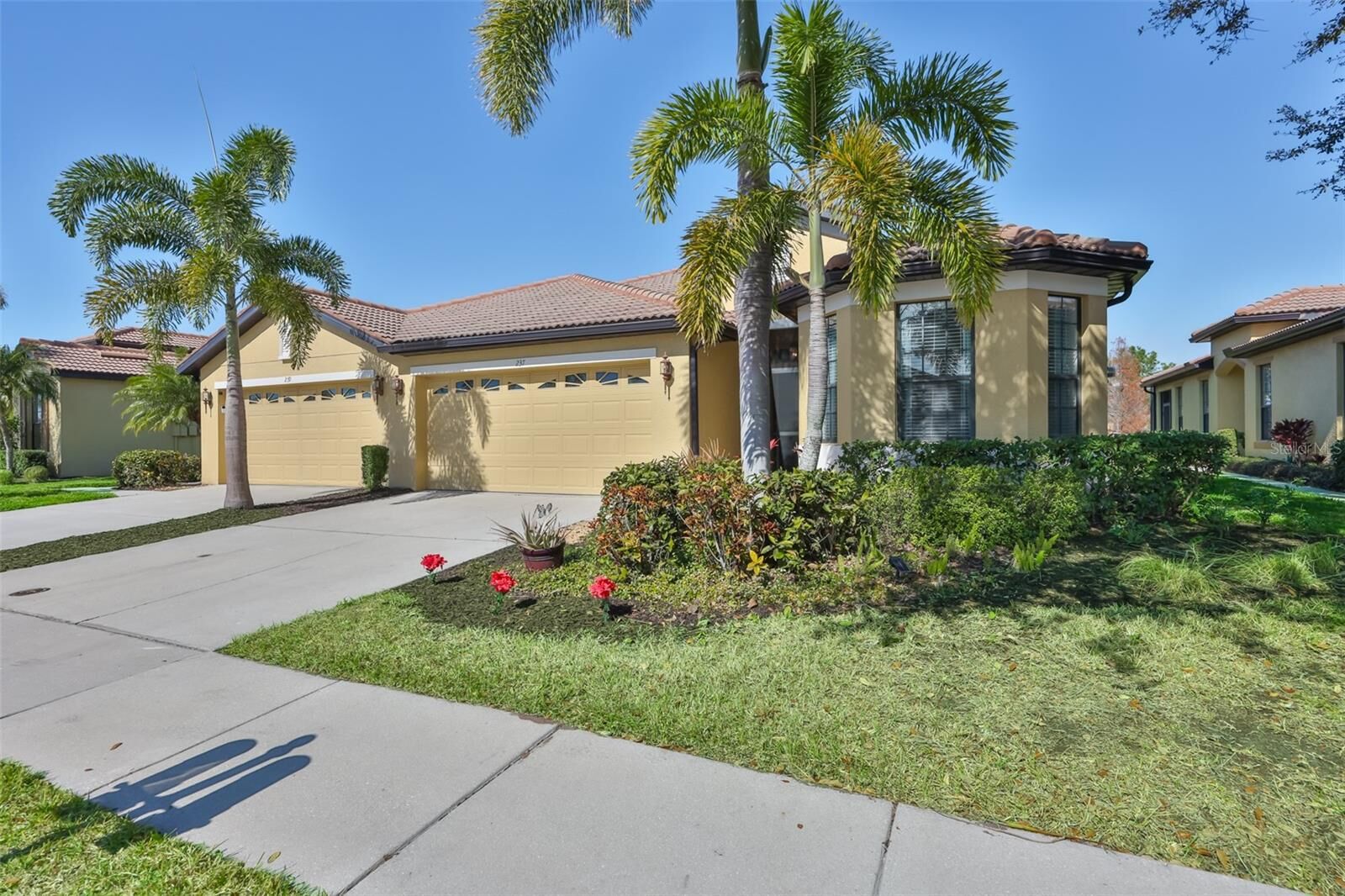 Property Photo:  237 Mystic Falls Drive  FL 33572 